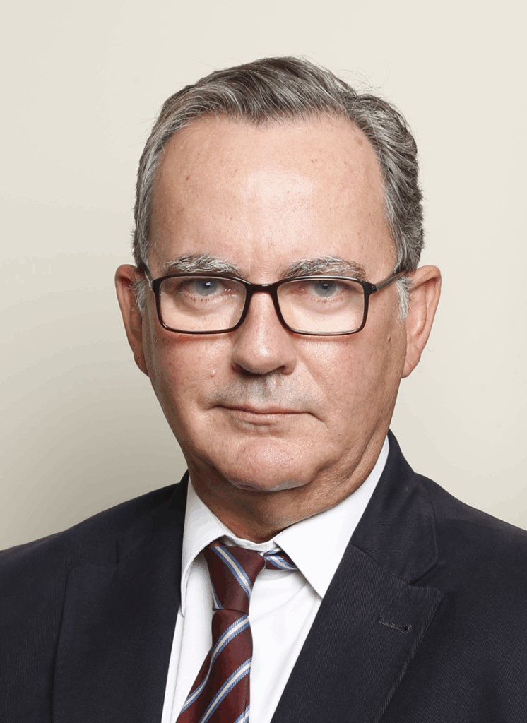LUIS JAVIER CARMONA HERMOSO
SOCIO FUNDADOR DE CARMONA Y ALFONSO DESPACHO DE ABOGADOS SCP
C/ Juan Ramón Jiménez 45, 1º izda
915758245